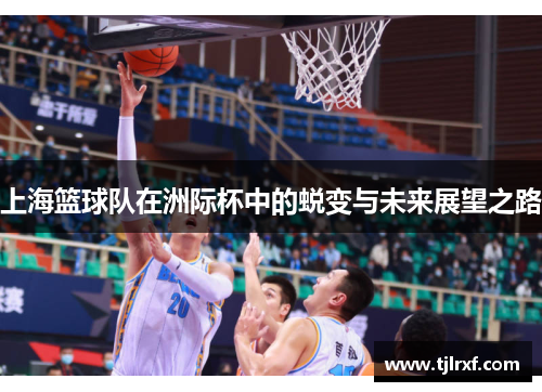 上海篮球队在洲际杯中的蜕变与未来展望之路